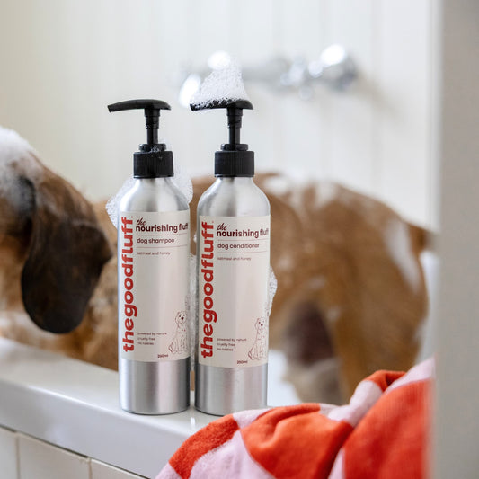 Two bottles of 'the good fluff' natural ingredients dog shampoo and conditioner on side of a bath with a dog in the background with soap bubbles