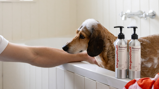 The Ultimate Step-by-Step Natural Dog Grooming Routine for Sensitive Skin
