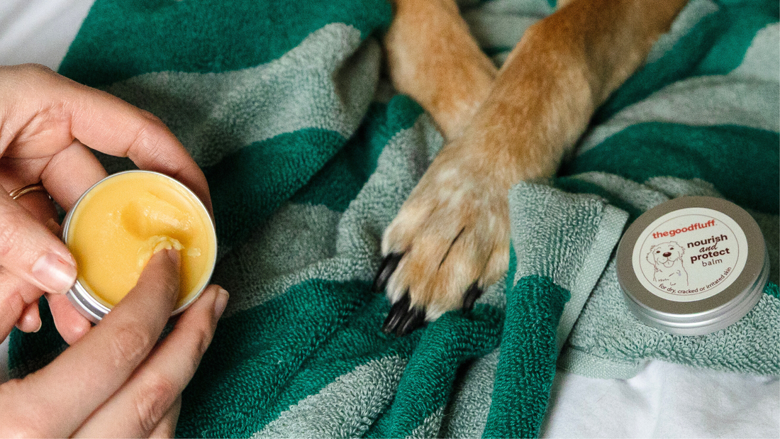 How to Protect Dog Paws in Winter: The Benefits of Paw Balm