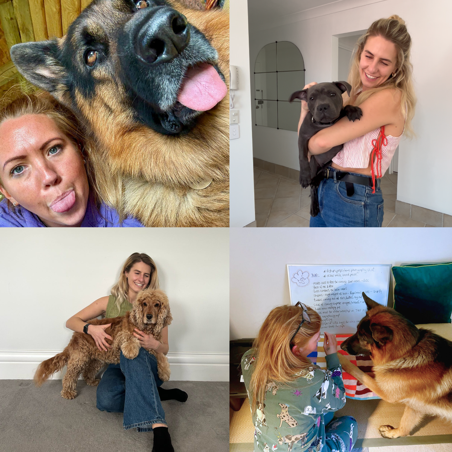 Collage of pictures of Amy and Kate the Founders of the Good Fluff with their dogs