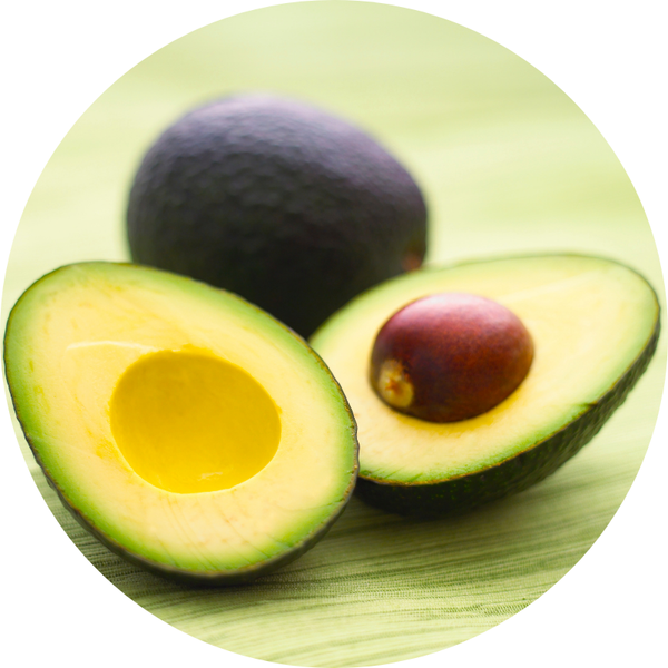 Avocado oil — nourishing ingredient packed with vitamins to soften and condition your dog’s coat