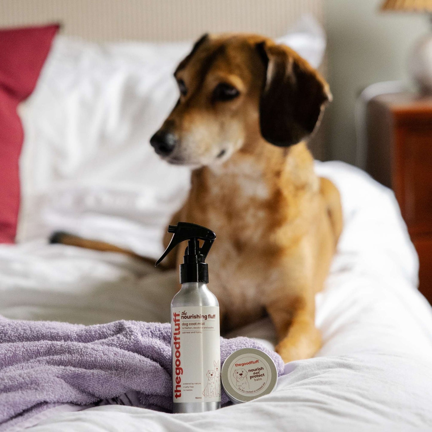 Dog sitting on a bed next to a bottle of 'the good fluff' natural dog coat mist and paw balm from the nourishing fluff collection