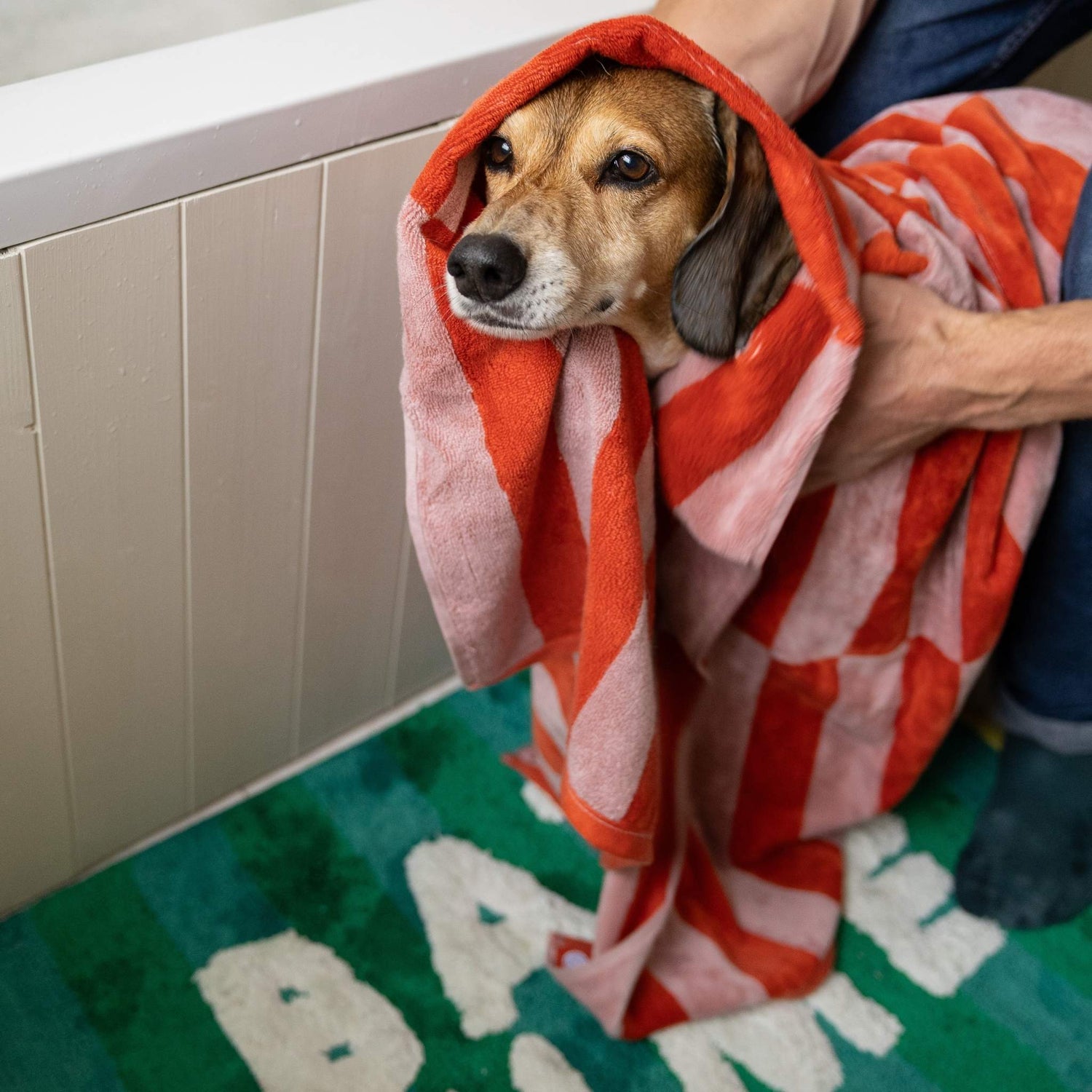 Dog wrapped in a red and pink towel being held by a person on a green bath mat with 'BATH TIME' text.