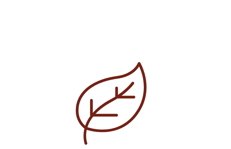 Simple Leaf Icon to highlight natural ingredients