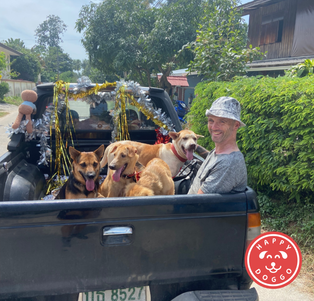 Niall Harbison from Happy Doggo in a truck with street dogs