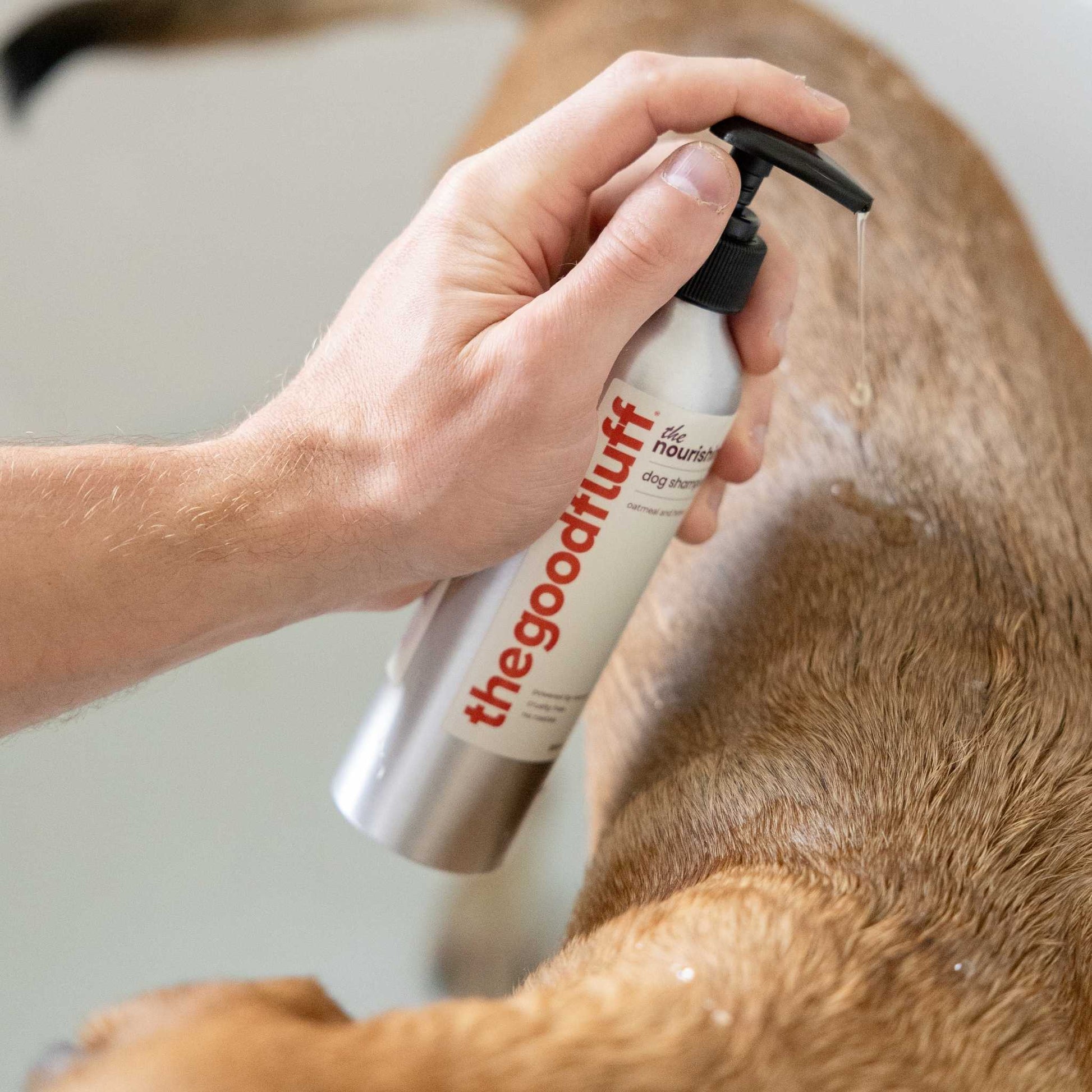 Person using 'the good fluff' natural dog shampoo on a dog's fur