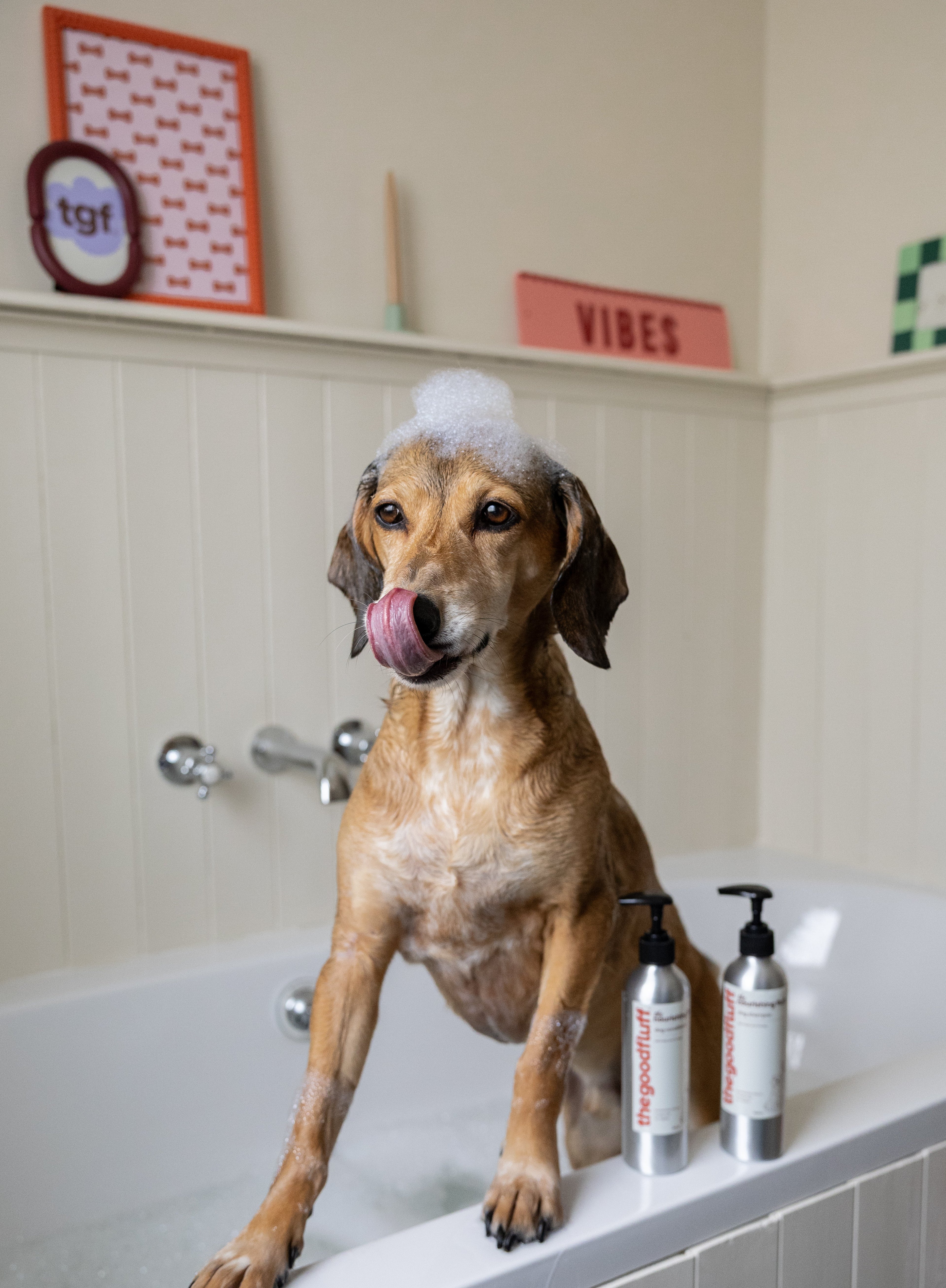 Dog in a bathtub with bubble bath and The Good Fluff shampoo bottles, with colourful signs and pictures in the background
