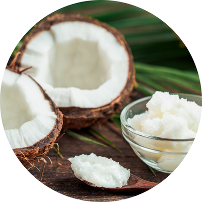 Coconut oil — natural antibacterial and moisturising oil for calm, healthy dog skin