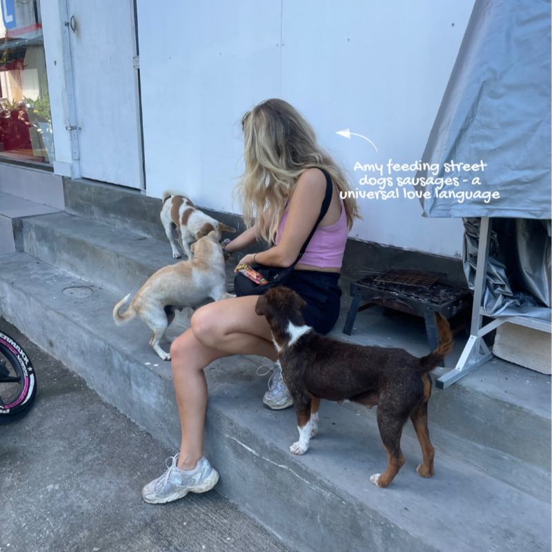 Woman sitting on steps with three street dogs, with text overlay about feeding street dogs sausages.
